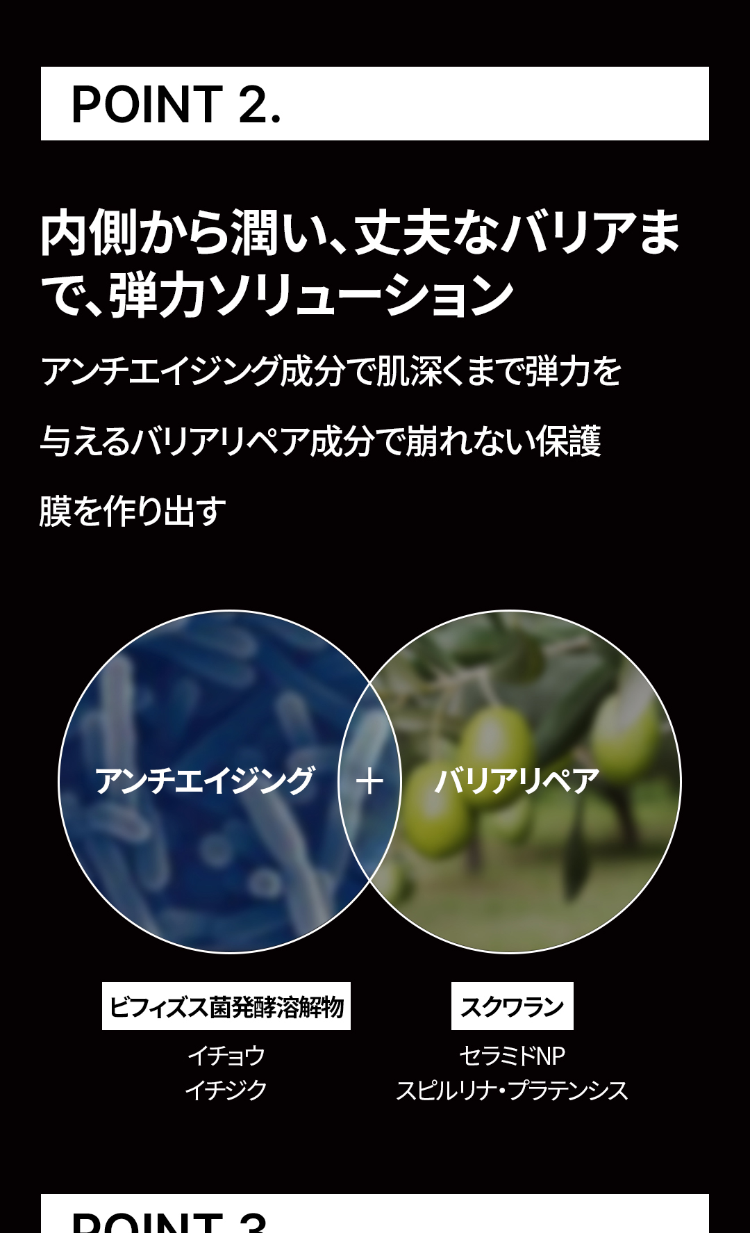 五毒_05.jpg