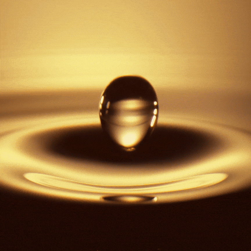 bcf4455da1abcba578946f8c17a2c5679f1f99c9cb6db1-OUTyVG_fw1200-min.gif