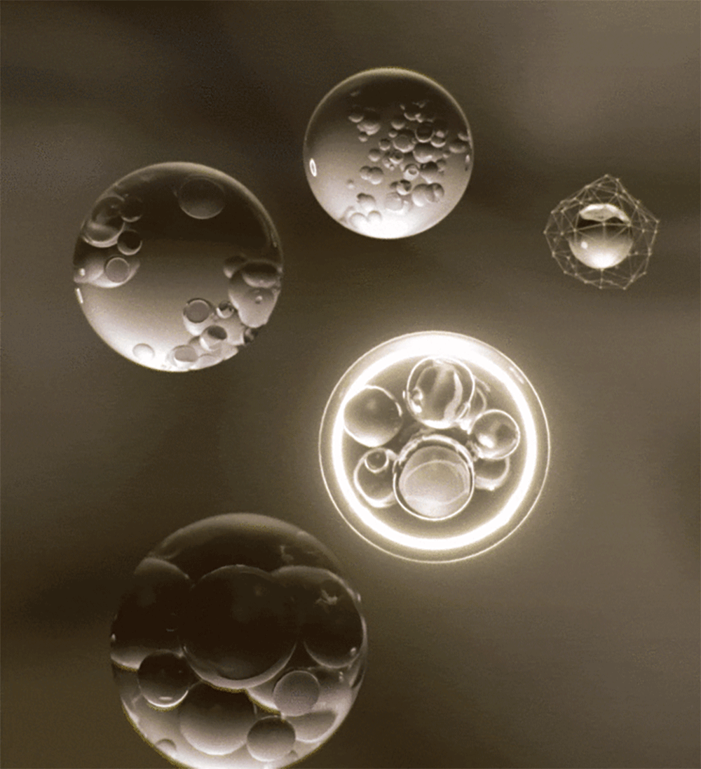 黄金微晶1_画板-1_02.gif