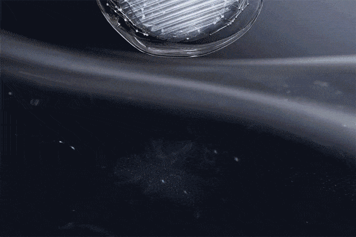GIF2-min.gif
