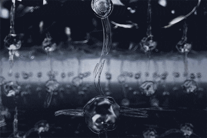 GIF-min.gif